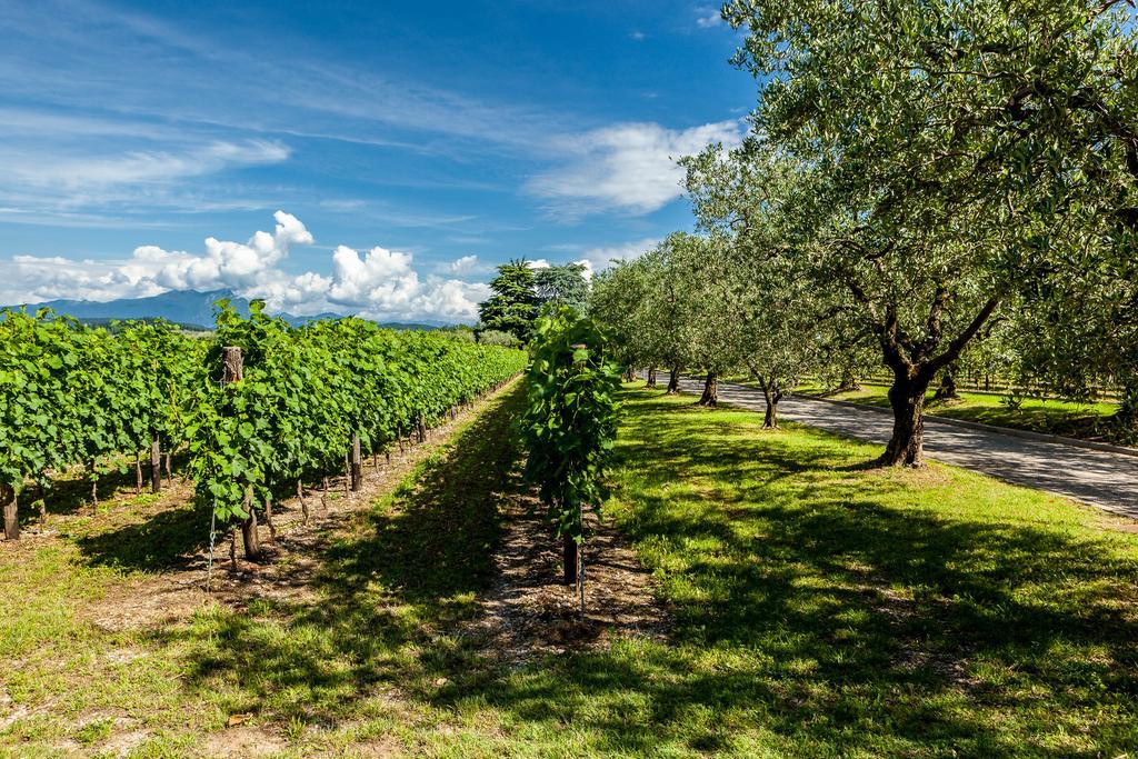 Quercia Belvedere Relais Bardolino Eksteriør billede